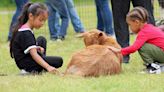 670 attend 16th annual Children's Festival in Hertford