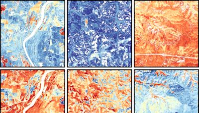 Mapping plant functional diversity from space: Ecosystem monitoring with novel field-satellite integration