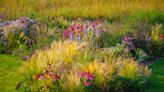 26 Late Summer Flowers You Can Still Plant for Last-Minute Color Before Fall