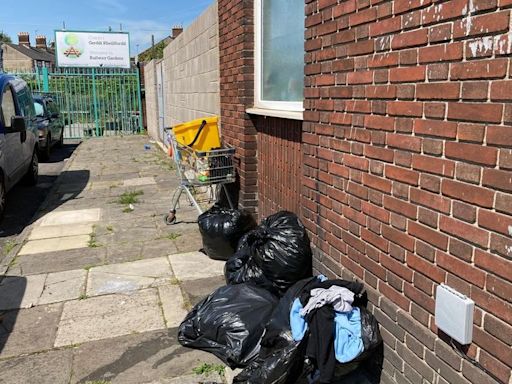 'The people who dump litter are ruining my city'