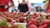 Calera celebrates summer with strawberry festival - Shelby County Reporter