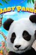 Sneezing Baby Panda - The Movie