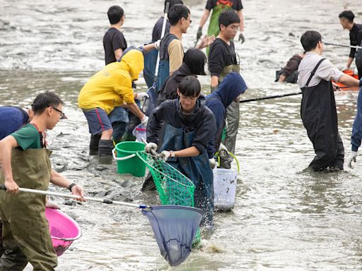 中興湖抽乾「撈上300生物」藏長絲巨鯰 大量外來種震驚日本人