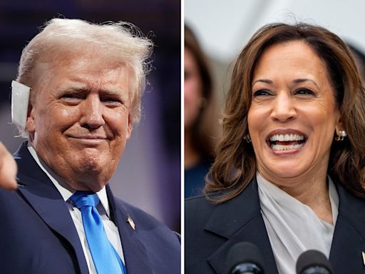 Fox News, in Bid for Harris-Trump Debate, Is Open to Muting Mics