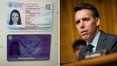 ‘Enough’: Controversial ID program for illegal immigrants targeted by GOP senator