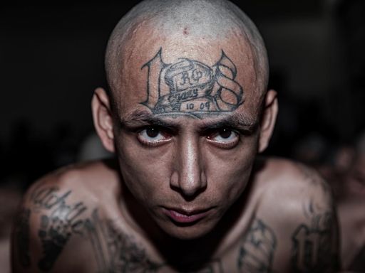 3 Most Popular Prison Gangs In New York