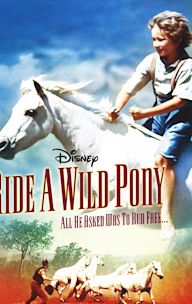 Ride a Wild Pony