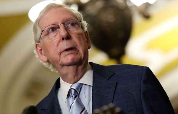 McConnell suggests 'discipline' for Dem senators pressuring Supreme Court over Alito flags