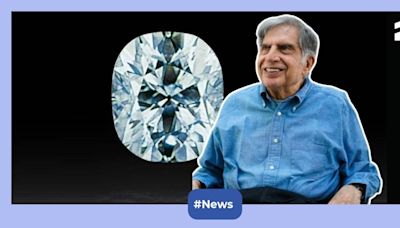 Story Of Jubilee Diamond: How this rare gem once saved Tata Steel from bankruptcy