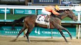 Honor Marie Breezes At Churchill Downs In Final Tune Up For Belmont
