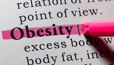 Experts Debate Best Way to Define Obesity