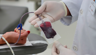 Oncologista se preocupa com doação de sangue no Brasil: 'Não é suficiente'