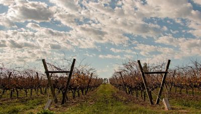 Cuál es la ciudad argentina que se perfila como uno de los destinos favoritos para estas vacaciones de invierno