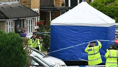 持十字弓殺害BBC評論員妻女 英警方逮捕26歲凶嫌