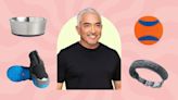 The essentials list: Dog behaviorist Cesar Millan shares his 7 favorite pet products