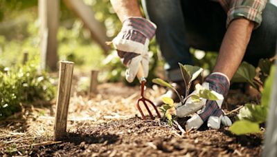 The 11 best gardening tools, according to expert gardeners