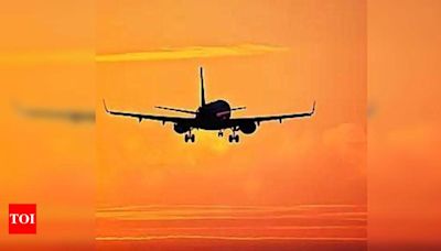 Amritsar Airport Enhances Airspace Control to 25.5k ft | Chandigarh News - Times of India