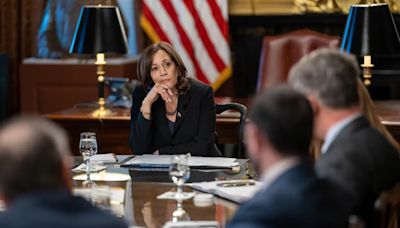 If Kamala Harris runs for president, it’s apparently time to talk ‘electability’ again