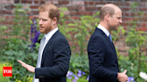 Prince Harry opens up on what caused his distance from royal family: 'Made it clear' - Times of India