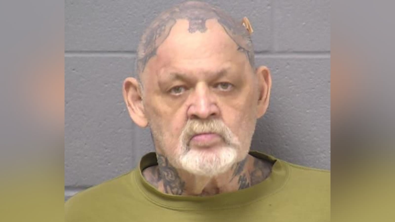 Illinois man charged with attempted first-degree murder of neighbor in apparent 'racially motivated' shooting: Sheriff