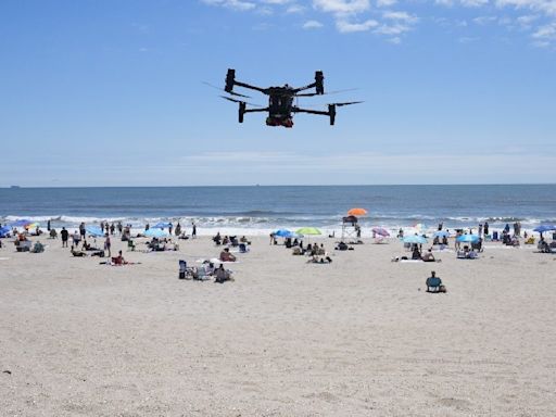 Angry Birds Attack Drones That Patrol New York Beaches For Sharks And Drowning Swimmers - News18