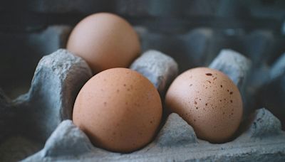又要囤蛋了？ 美日禽流感疫情再起 國際蛋價再度飆漲--上報
