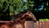 Haras d'Etreham's City Light has a beautiful one in first stakes winner at Vichy