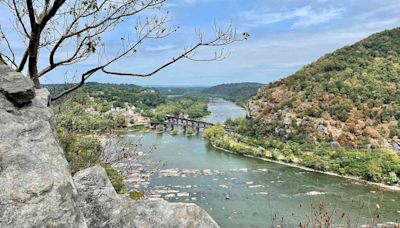 Body Found in Potomac River During Search for Missing Swimmer, Officials Say