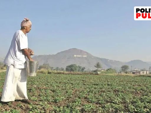 Maharashtra results again show farm issues matter, farm leaders flop