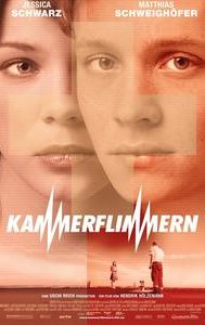 Kammerflimmern