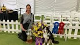 Climate protesters disrupt Westminster dog show agility course. ‘No dogs on a dead planet.’