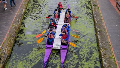Birmingham's canals turn green from duckweed, making waterways sludge