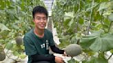 屏東青農與大學同學創品牌 返鄉克服萬難種出精品洋香瓜