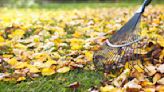 3 Tips to Make Fall Yard Work a Breeze