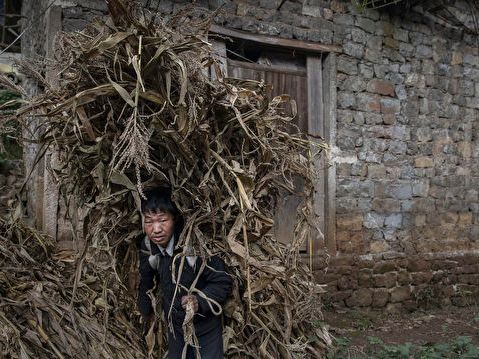 李強喊守住大規模返貧底線 脫貧造假引關注