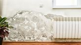 5 pro tips to beat mould, damp and mildew