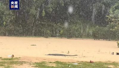 廣東暴雨不停！養殖場圍欄沖垮4條鱷魚出逃