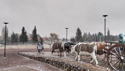 Sí, va a caer nieve en Neuquén de la mano del frío polar: alerta de este sábado y situación en Río Negro - Diario Río Negro