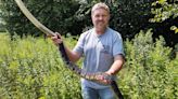 Snake experts offer advice on snake encounters, hunting rattlesnakes in Pa.