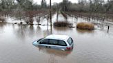 Avoid California's waterlogged cars