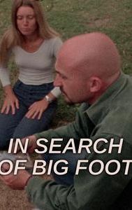 In Search of Bigfoot