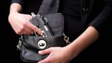 Senate’s version of permitless carry bill adds to post-Parkland school safety measures