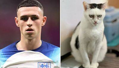 Cat identical to Phil Foden's face when benched becomes England good luck charm