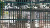 Inundaciones y autos varados: las impactantes imágenes que dejó la lluvia en Naucalpan