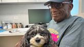 Al Roker Skips the 'Today' Show as His Dog Recovers from Emergency Surgery: 'She's Getting Great Care'