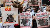 El Congreso de Colombia está a un debate de prohibir las corridas de toros: ¿qué falta para que sea ley?
