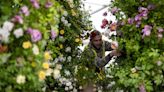 Children centre stage at Chelsea Flower Show as green issues high on agenda