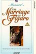 The Marriage of Figaro