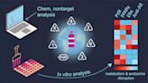 Plastic food packaging can contain harmful chemicals that affect hormones and metabolism, researchers find