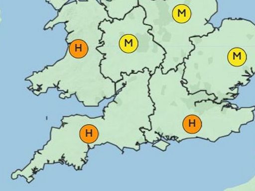 Met Office hay fever warning as sufferers urged to take care in 23C heat